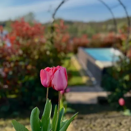 Ferienhaus Sovenigo Puegnago sul Garda